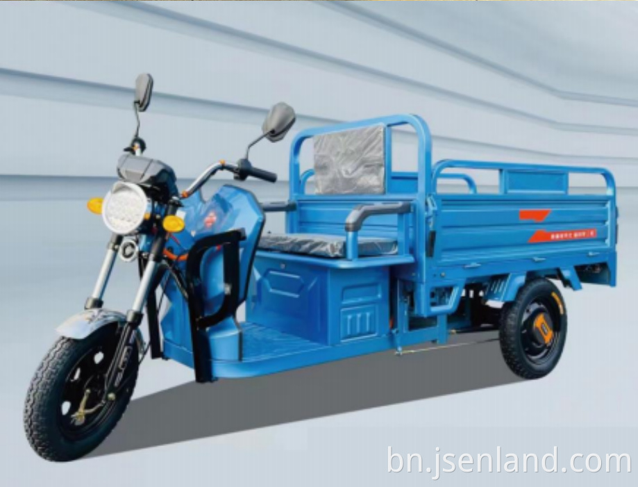 3 Open Door Electric Tricycle
